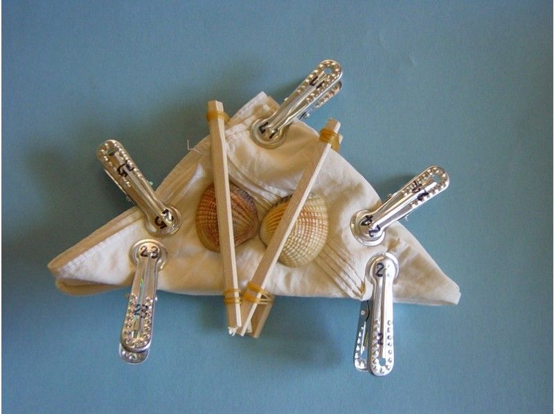 【セット】屋我地島　マングローブ散策とマングローブ染めの紹介画像