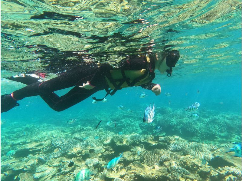 [1 group reserved/Onna Village] A tour where you can enjoy Sapp and snorkeling! ★Includes photos and videosの紹介画像