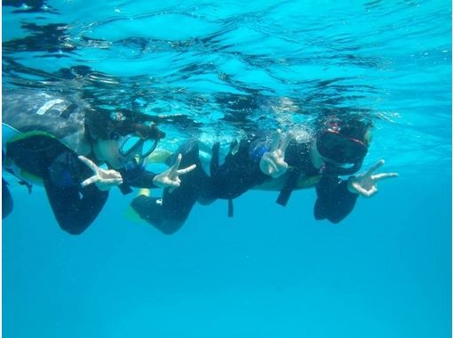 沖縄 石垣 サンゴ 熱帯魚が見れる美しい海へ 石垣島周辺シュノーケリングコース アクティビティジャパン