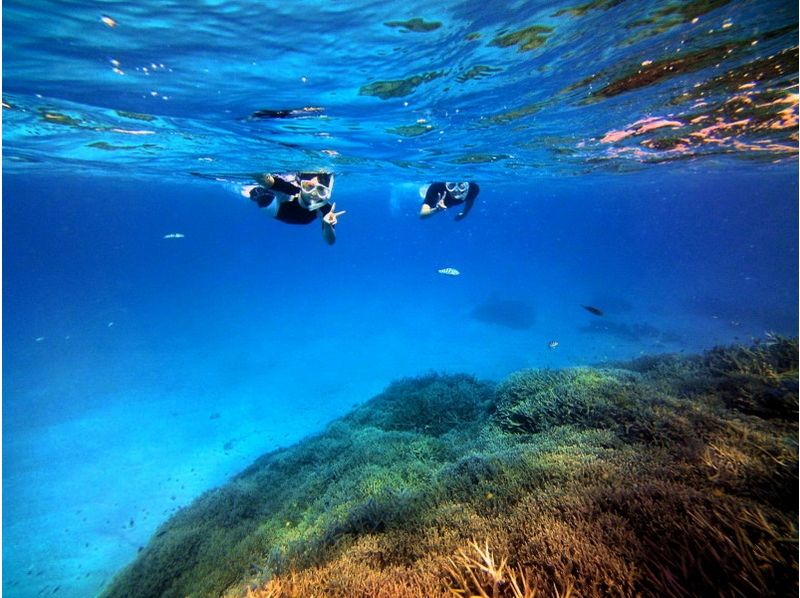 [โอะกินะวะอิชิกากิ] เป็นครั้งแรกแม้ความสงบของจิตใจ! หลักสูตรดำน้ำดูปะการัง 5hour [พื้นที่ของวิสัยทัศน์ Taketomi เกาะ]の紹介画像