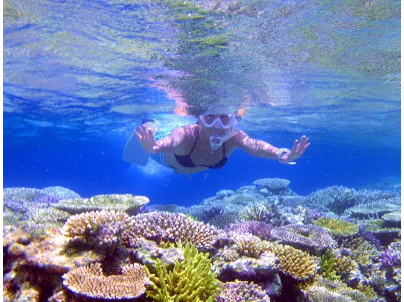 [โอะกินะวะอิชิกากิ] swim'd ที่ดีขึ้นจะเป็นสิ่งที่ถูกต้อง! หลักสูตรดำน้ำดูปะการัง 3hour [พื้นที่ของวิสัยทัศน์ Taketomi เกาะ]の紹介画像