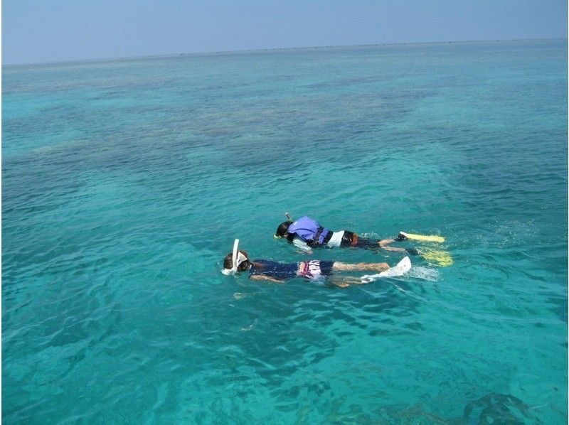 [Okinawa Iriomote Baras Island] to the island of illusion, which consists of coral! Half-day snorkeling tourの紹介画像