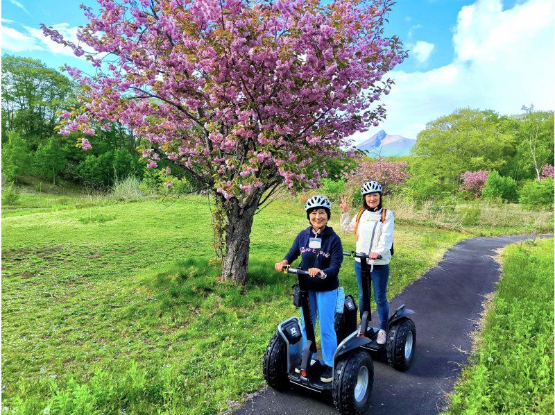 【北海道・函館】大自然・野生動物・桜でお花見も！大沼をセグウェイで駆け巡ろう！【2時間30分】の紹介画像