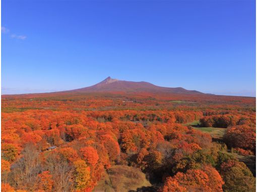 北海道 函館 近未来の乗り物で探索 セグウェイ自然体験ツアー 2時間30分 アクティビティジャパン