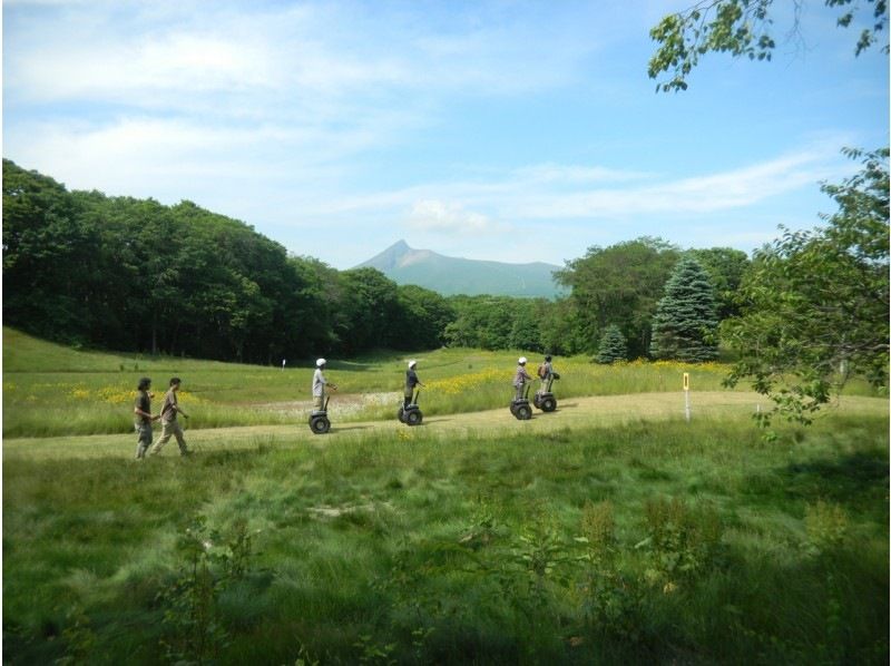 【北海道・函館】大自然・野生動物・桜でお花見も！大沼をセグウェイで駆け巡ろう！【2時間30分】の紹介画像