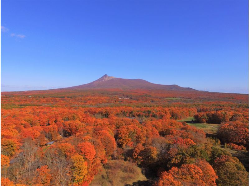 【北海道・函館】大自然・野生動物・桜でお花見も！大沼をセグウェイで駆け巡ろう！【2時間30分】の紹介画像