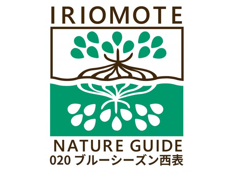 [Waterfall of Okinawa Iriomote-Pinaisara] popularity No.1 course! The view is superb. Canoe & trekking tourの紹介画像