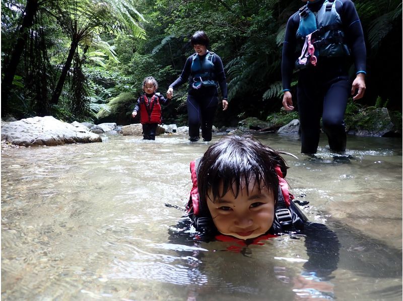 【预约1组】1DAY团！山原森林的河流徒步旅行和美丽海的浮潜★包含照片和视频の紹介画像