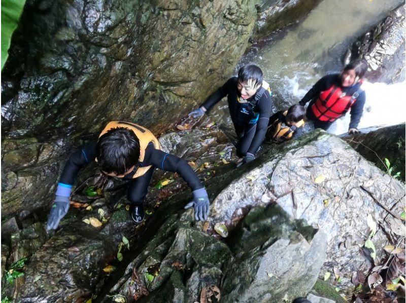 [Private tour for one group] 1-day tour! River trekking in the Yanbaru forest & snorkeling in the beautiful ocean ★Photos and videos includedの紹介画像