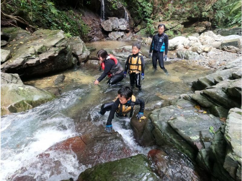 【預約1組】1DAY團！山原森林的河流徒步旅行和美麗海的浮潛★包含照片和視頻の紹介画像