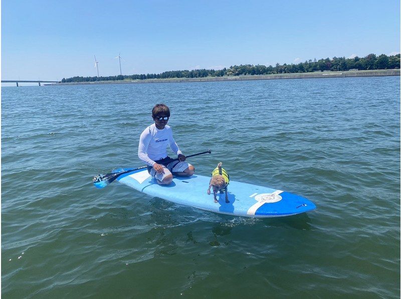 【愛知・新舞子】１０時から・デイSUP体験(2時間)・初めての方・ご経験者であっても大歓迎！の紹介画像