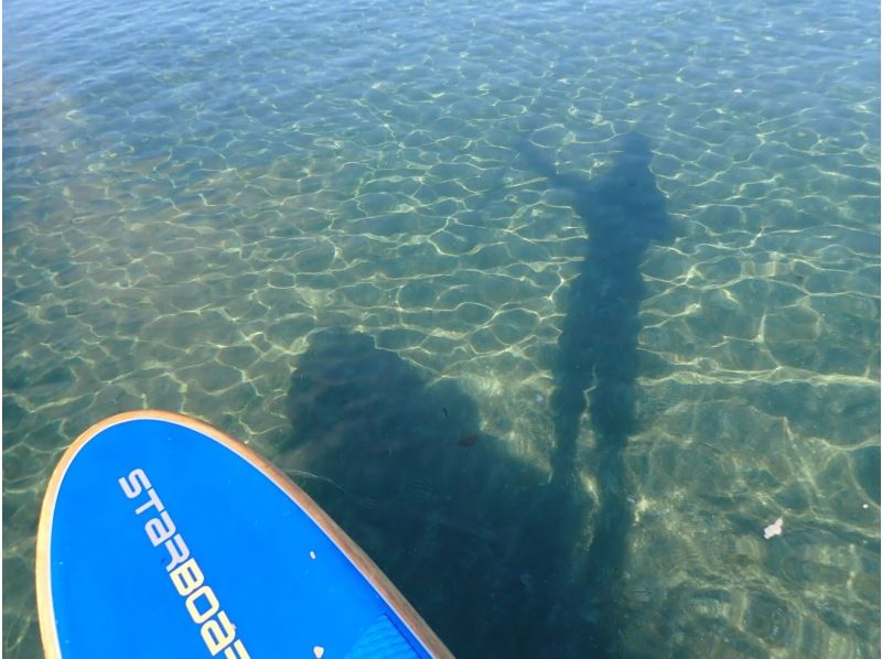 【湘南・逗子】春の初めてキャンペーン！初心者歓迎！SUP体験コース（初めての方向け）女性一人でも初めての方でも安心！【半日/1日】の紹介画像