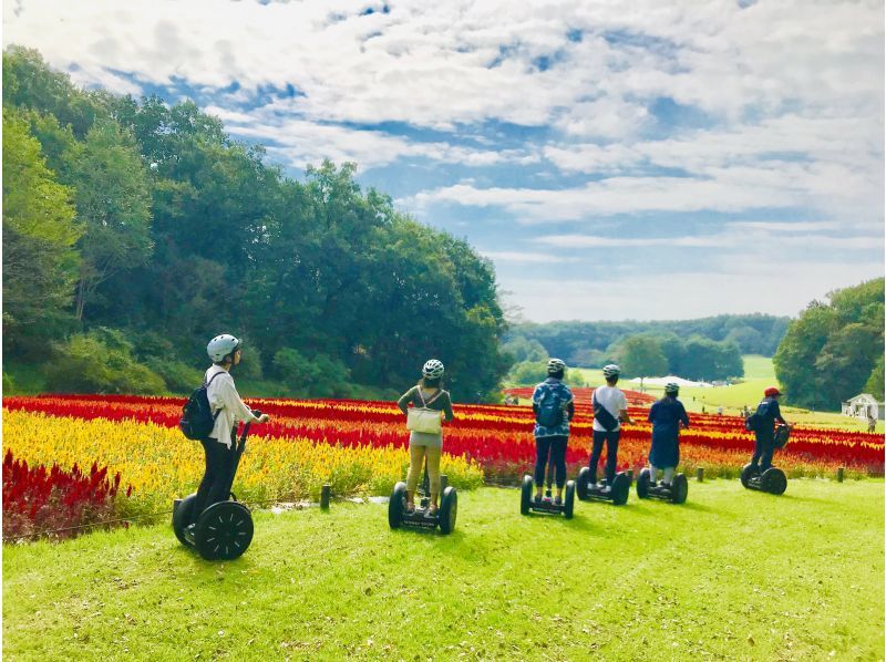  [ 埼玉 - 國有武藏丘陵森林公園]讓我們去一個富有自然風情的森林公園！ 賽格威導遊（2小時30分鐘） の紹介画像