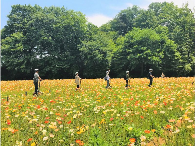 【埼玉・森林公園】広大な国営公園でセグウェイツアー！緑・花見・自然・風を感じよう☆【写真データ無料プレゼント付き】の紹介画像