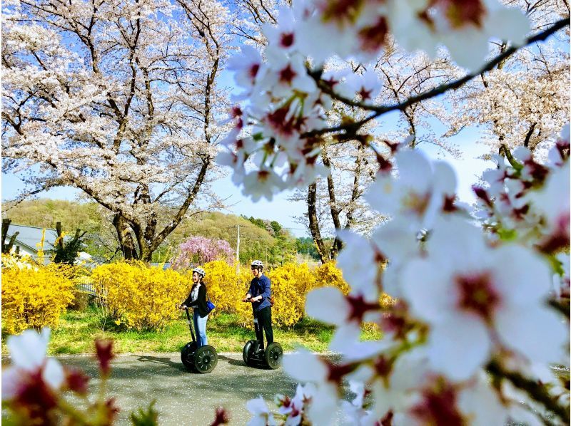 【埼玉・森林公園】広大な国営公園でセグウェイツアー！緑・花・自然・風を感じよう☆写真データ無料プレゼントの紹介画像