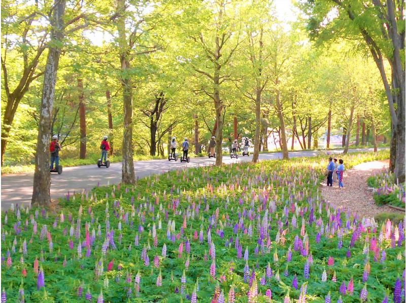 【埼玉・森林公園】広大な国営公園でセグウェイツアー！緑・花・自然・風を感じよう☆写真データ無料プレゼントの紹介画像