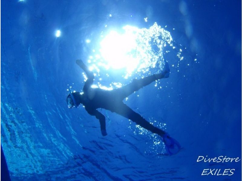 [Shizuoka Nishiizu-Kumomi] พยายามที่จะได้รับใบอนุญาต! Open Water Diver แน่นอน [C-บัตรเข้าซื้อกิจการ]の紹介画像