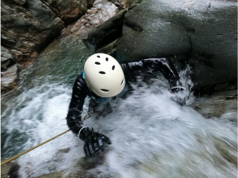 【1 세트 전세】 캐니어닝! 샤워크 라이밍 & 워터 슬라이더 ★사진・동영상 첨부★の紹介画像