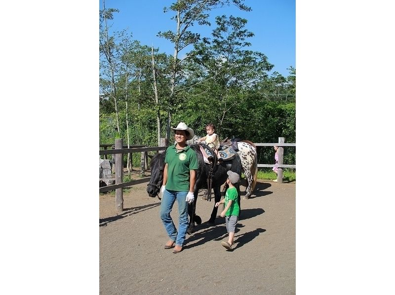 【山梨/山中湖】馬とのふれあい＆引き馬体験プログラム（団体10名～30名）の紹介画像