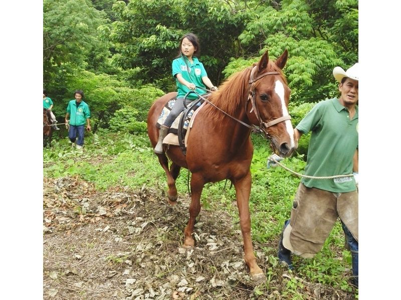 【山梨/山中湖】馬とのふれあい＆引き馬体験プログラム（団体10名～30名）の紹介画像