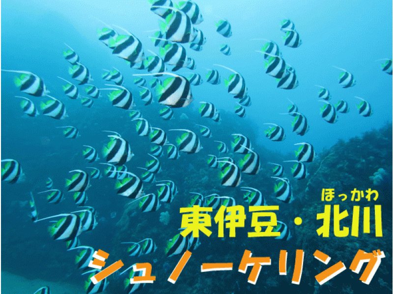 [Shizuoka Higashiizu] Kitagawa snorkeling!の紹介画像