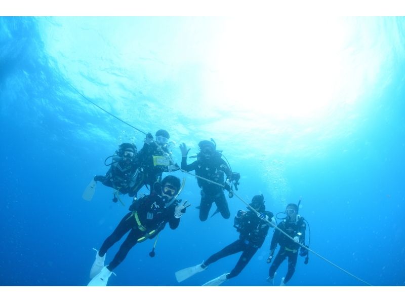 [Local meeting, cancellation] Shirahama, Tenjinzaki A day trip that you can easily go in one day! 2 dive [fan dive]の紹介画像