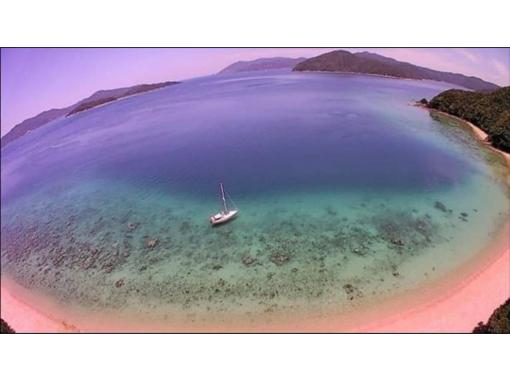 奄美 加計呂麻島 シュノーケル シーカヤック Supを好きなだけ 1日ツアー ランチ付き アクティビティジャパン 奄美 加計呂麻島 シュノーケル シーカヤック Supを好きなだけ 1日ツアー ランチ付き アクティビティジャパン