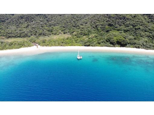 奄美 加計呂麻島 シュノーケル シーカヤック Supを好きなだけ 1日ツアー ランチ付き アクティビティジャパン 奄美 加計呂麻島 シュノーケル シーカヤック Supを好きなだけ 1日ツアー ランチ付き アクティビティジャパン