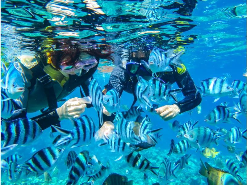 [Okinawa, Onna Village] Blue Cave Snorkeling & Churaumi Experience Diving SET | Guide is fully reserved, so even beginners can feel safe and easy to move around! Boat tourの紹介画像