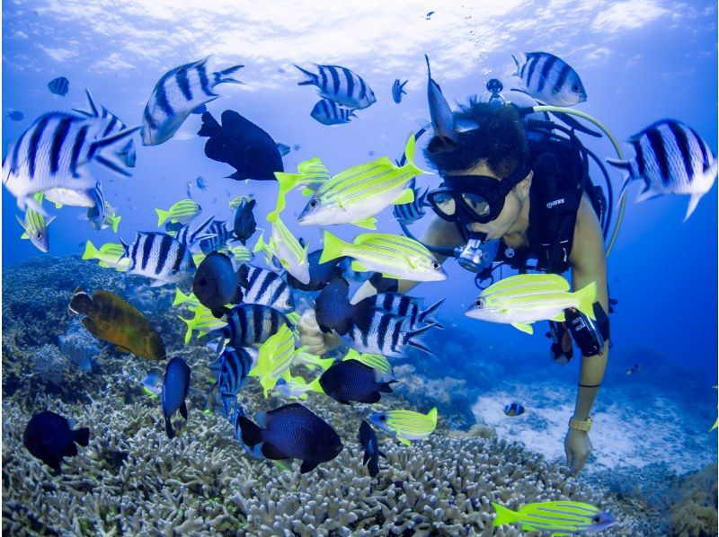 [Okinawa, Onna Village] Blue Cave Snorkeling & Churaumi Experience Diving SET | Guide is fully reserved, so even beginners can feel safe and easy to move around! Boat tourの紹介画像