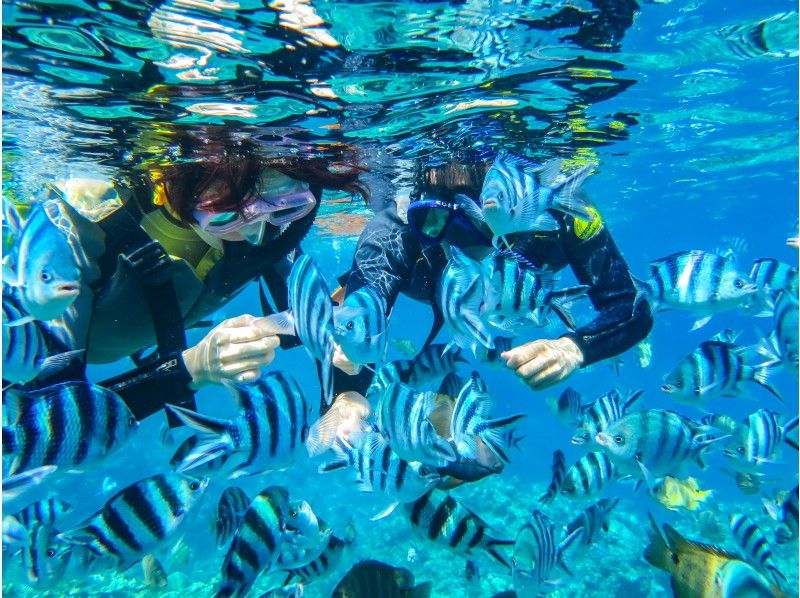 SALE! [Okinawa Blue Cave] Snorkeling and easy boat tour! Private charter system ♪ ★ Very satisfied with the beautiful shop's extensive facilities (photo and video shooting services included)の紹介画像