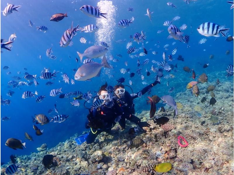 [Okinawa, Onna Village] Experience diving in the mysterious Blue Cave (1 dive, fully chartered guide, easy-to-move boat, guided over 1,500 people last year)の紹介画像