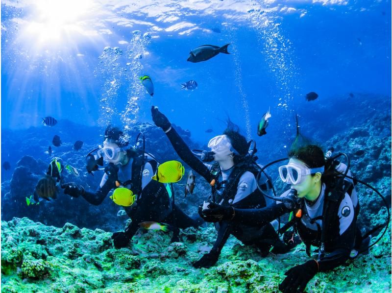 [Okinawa, Onna Village] Experience diving in the mysterious Blue Cave (1 dive, fully chartered guide, easy-to-move boat, guided over 1,500 people last year)の紹介画像