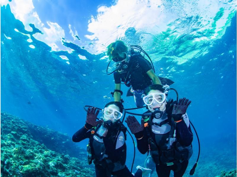 [Okinawa, Onna Village] Experience diving in the mysterious Blue Cave (1 dive, fully chartered guide, easy-to-move boat, guided over 1,500 people last year)の紹介画像