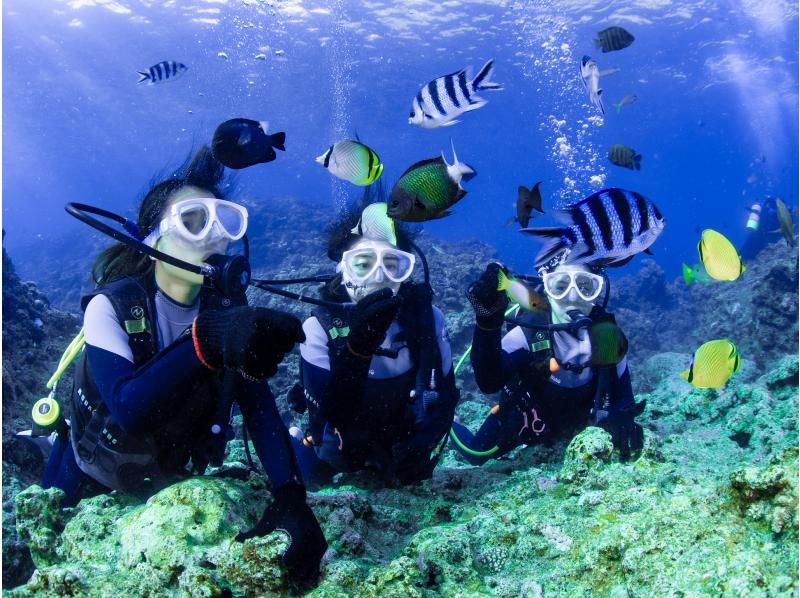 [Okinawa, Onna Village] Experience diving in the mysterious Blue Cave (1 dive, fully chartered guide, easy-to-move boat, guided over 1,500 people last year)の紹介画像