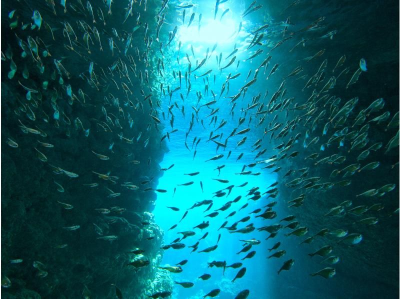 [Okinawa, Onna Village] Experience diving in the mysterious Blue Cave (1 dive, fully chartered guide, easy-to-move boat, guided over 1,500 people last year)の紹介画像