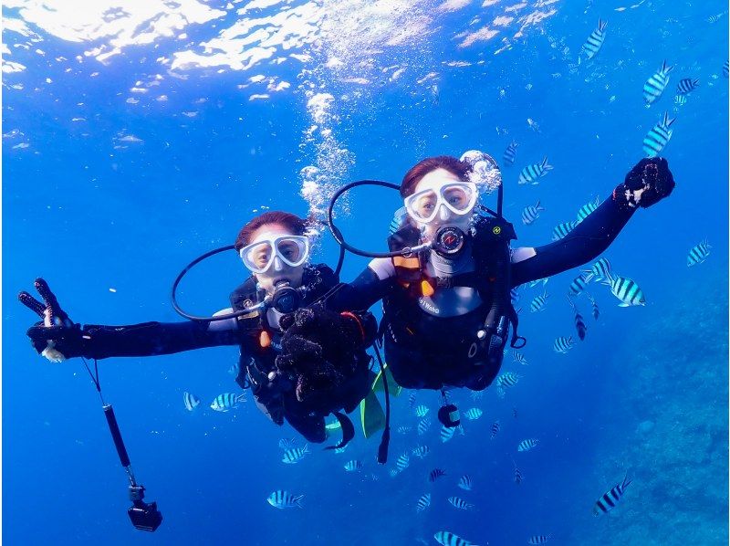 [Okinawa, Onna Village] Experience diving in the mysterious Blue Cave (1 dive, fully chartered guide, easy-to-move boat, guided over 1,500 people last year)の紹介画像