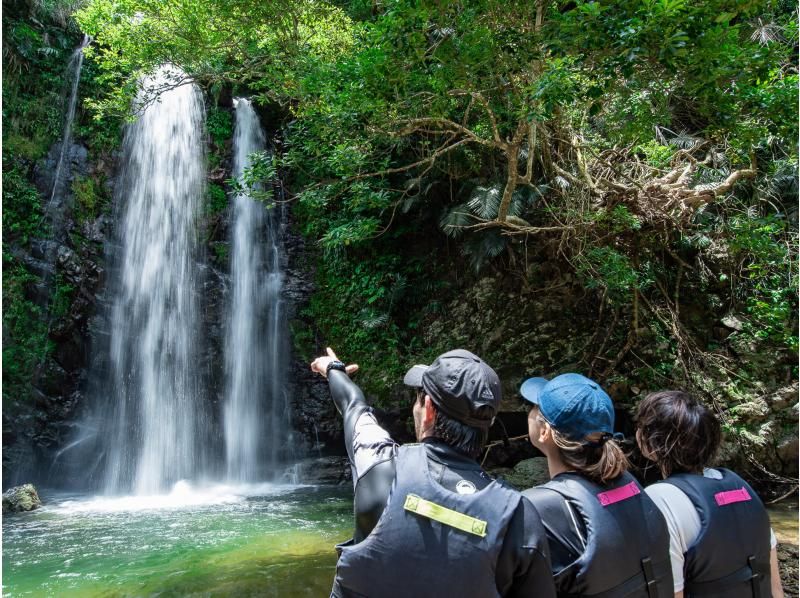 [Okinawa Yanbaru] Exhilarating! River trekking with waterfall jumps, Tarzan, tree swings, etc. (High-quality photos and video recording included / 3 years old and above / 3 hours)の紹介画像