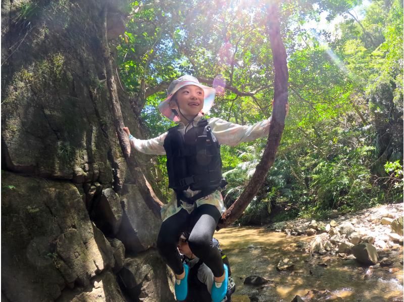 [Okinawa Yanbaru] Exhilarating! River trekking with waterfall jumps, Tarzan, tree swings, etc. (High-quality photos and video recording included / 3 years old and above / 3 hours)の紹介画像