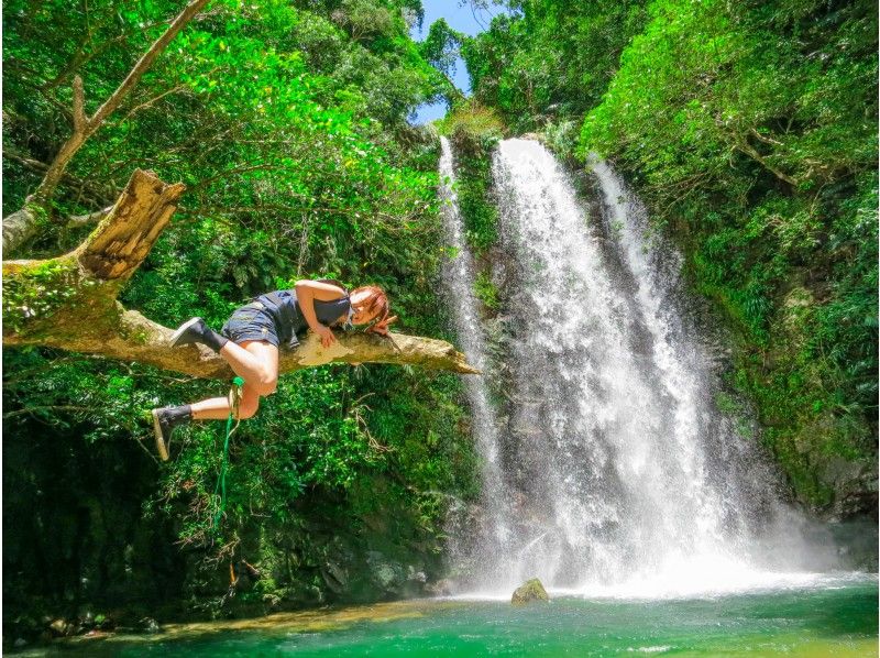 SALE! [Okinawa, Yanbaru] Exhilarating! River trekking with waterfall jumps, Tarzan, and tree swings (high-quality photos and video recording included / ages 3 and up)の紹介画像