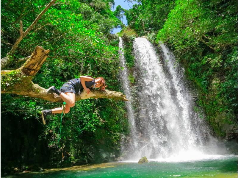 [Okinawa Yanbaru] Exhilarating! River trekking with waterfall jumps, Tarzan, tree swings, etc. (High-quality photos and video recording included / 3 years old and above / 3 hours)の紹介画像