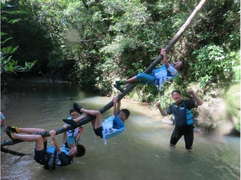 SALE! [Okinawa, Yanbaru] Exhilarating! River trekking with waterfall jumps, Tarzan, and tree swings (high-quality photos and video recording included / ages 3 and up)の紹介画像