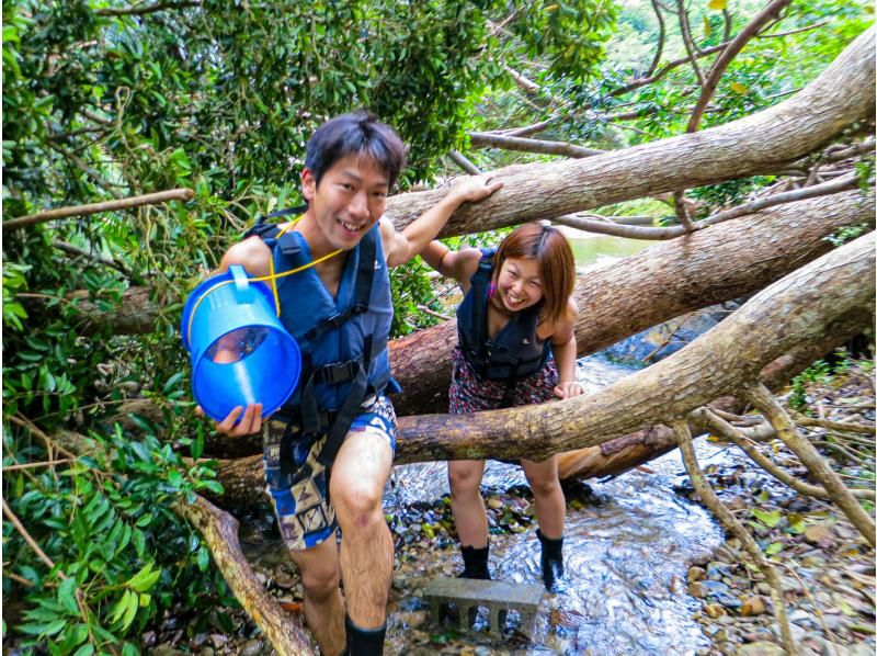 [Okinawa Yanbaru] Exhilarating! River trekking with waterfall jumps, Tarzan, tree swings, etc. (High-quality photos and video recording included / 3 years old and above / 3 hours)の紹介画像