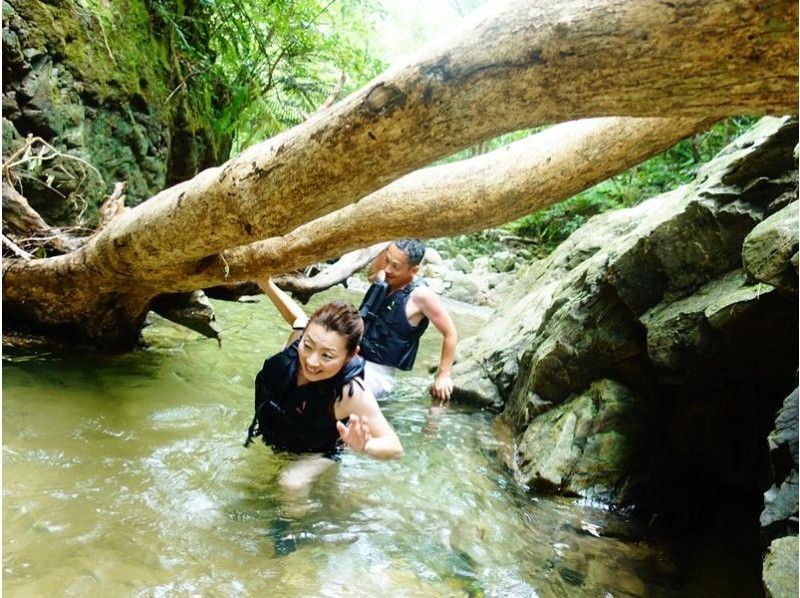 SALE! [Okinawa, Yanbaru] Exhilarating! River trekking with waterfall jumps, Tarzan, and tree swings (high-quality photos and video recording included / ages 3 and up)の紹介画像