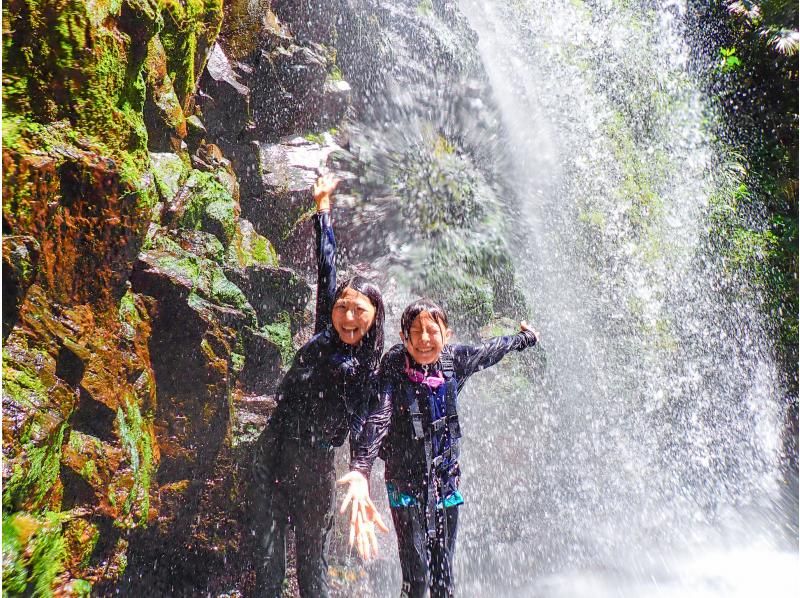 [Okinawa Yanbaru] Exhilarating! River trekking with waterfall jumps, Tarzan, tree swings, etc. (High-quality photos and video recording included / 3 years old and above / 3 hours)の紹介画像