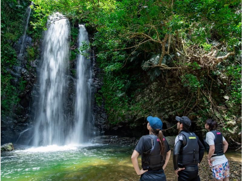 [Okinawa Yanbaru] Exhilarating! River trekking with waterfall jumps, Tarzan, tree swings, etc. (High-quality photos and video recording included / 3 years old and above / 3 hours)の紹介画像