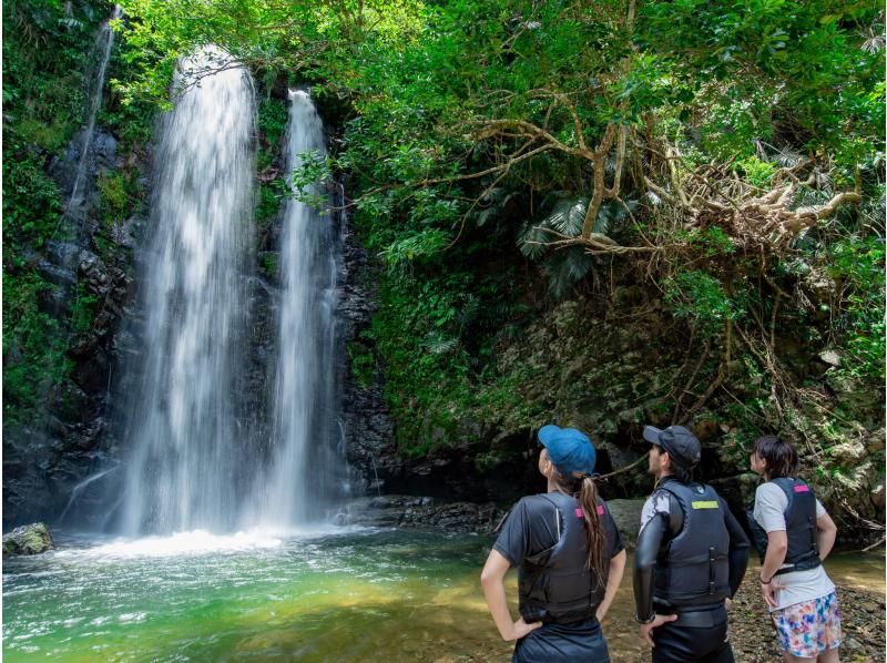 SALE! [Okinawa, Yanbaru] Exhilarating! River trekking with waterfall jumps, Tarzan, and tree swings (high-quality photos and video recording included / ages 3 and up)の紹介画像