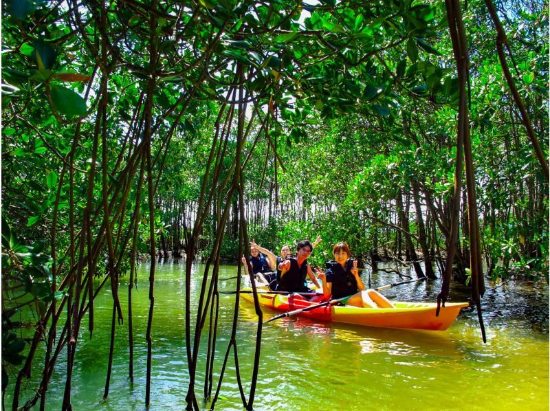 [โอกินาว่า แม่น้ำโอคุบิ] ทัวร์เรือคายัคป่าชายเลน ทริปพายเรือคายัคผจญภัยไปยังแม่น้ำป่าชายเลนกึ่งเขตร้อนและทะเล♪ (พร้อมบริการถ่ายภาพและวิดีโอ)の紹介画像