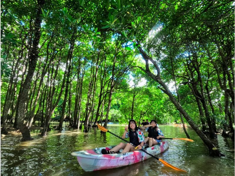 [โอกินาว่า แม่น้ำโอคุบิ] ทัวร์เรือคายัคป่าชายเลน ทริปพายเรือคายัคผจญภัยไปยังแม่น้ำป่าชายเลนกึ่งเขตร้อนและทะเล♪ (พร้อมบริการถ่ายภาพและวิดีโอ)の紹介画像