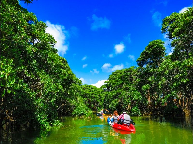 เรือแคนูและเรือคายัคในป่าโกงกางที่แนะนำในโอกินาว่าอยู่ที่ไหน แนะนำสถานที่ท่องเที่ยวและอันดับยอดนิยมอย่างละเอียด!